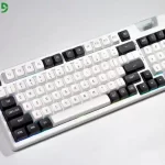 FUHLEN H95S PANDA TTD 2