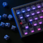 WS Switch Mondari TTD 6