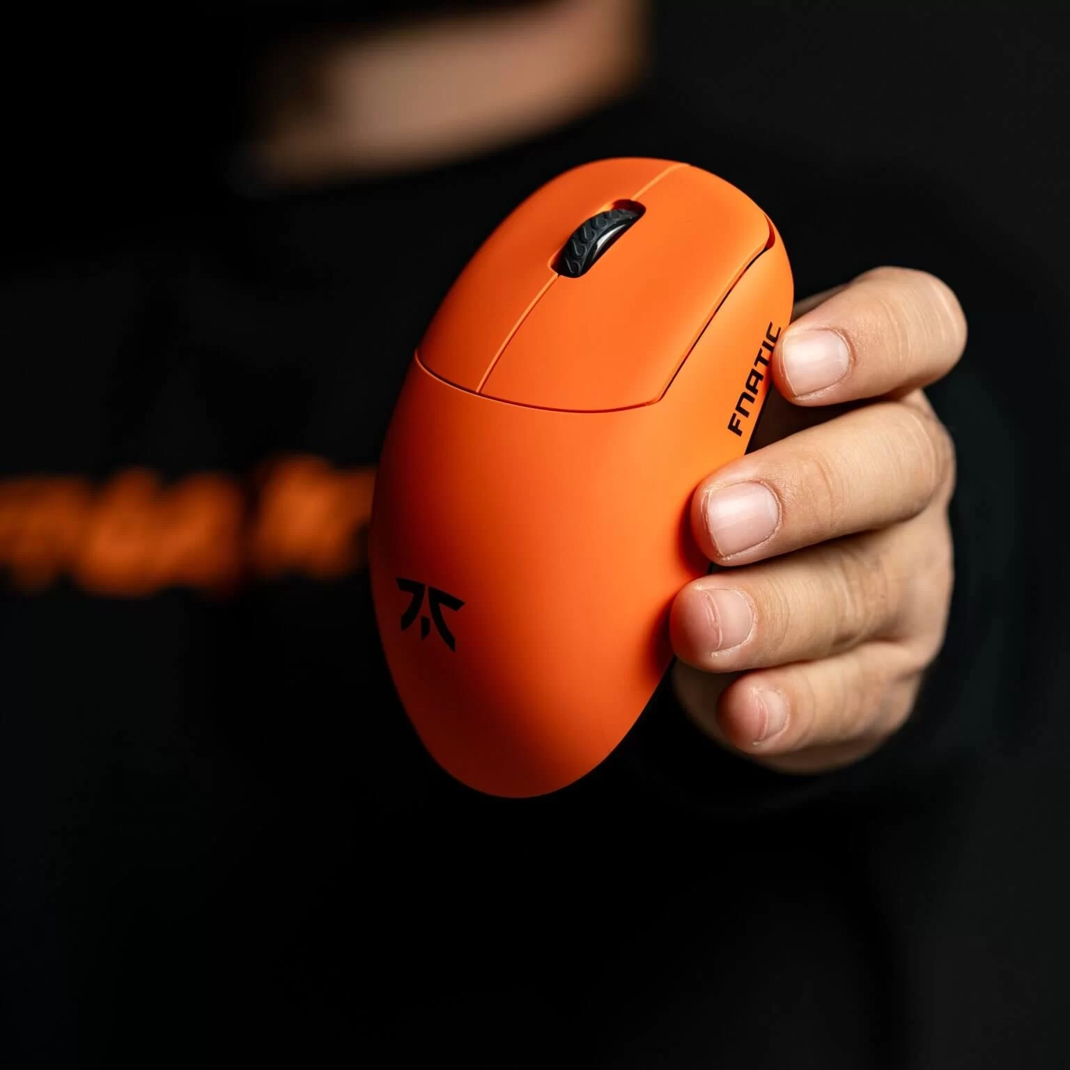 FNATIC X LAMZU THORN page pc 3