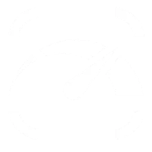 al120 icon 04